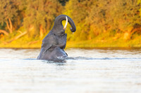 Water Fun, Botswana