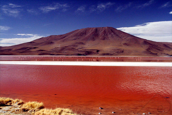 Laguna Roja, Bolivia