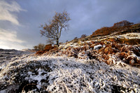 Applecross, Scotland