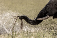 Water Spiral, Botswana
