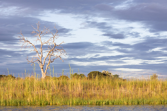 Chobe Clouds, Botswana