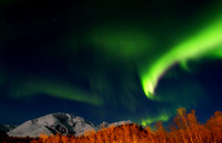 Aurora Borealis, Northern Norway